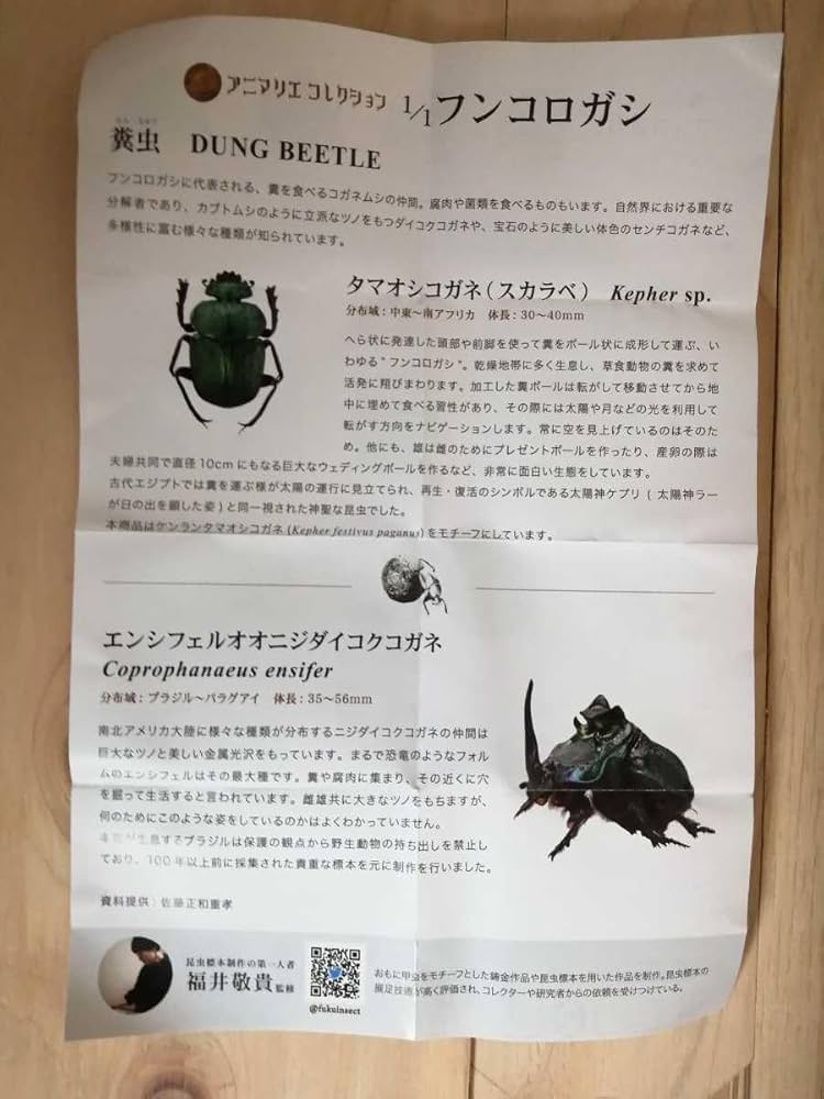 Amazon.co.jp: 1/1 フンコロガシ フィギュア SO-TA 昆虫 エンシ